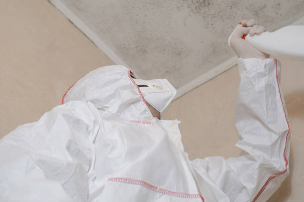 Best Mold Removal Specialists  in USA